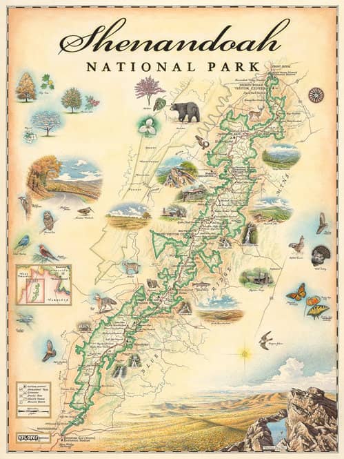Shenandoah National Park Fly-Fishing: Part IV – Potomac Valley Fly Fishers
