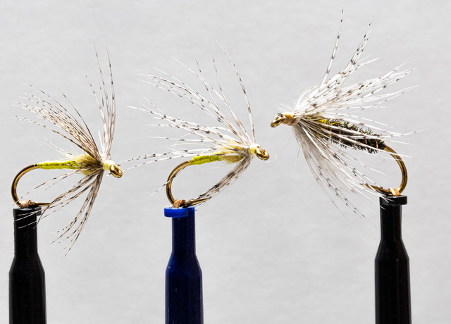 Beginner's Fly Tying: Soft Hackle Wet Fly Patterns – Potomac Valley Fly  Fishers