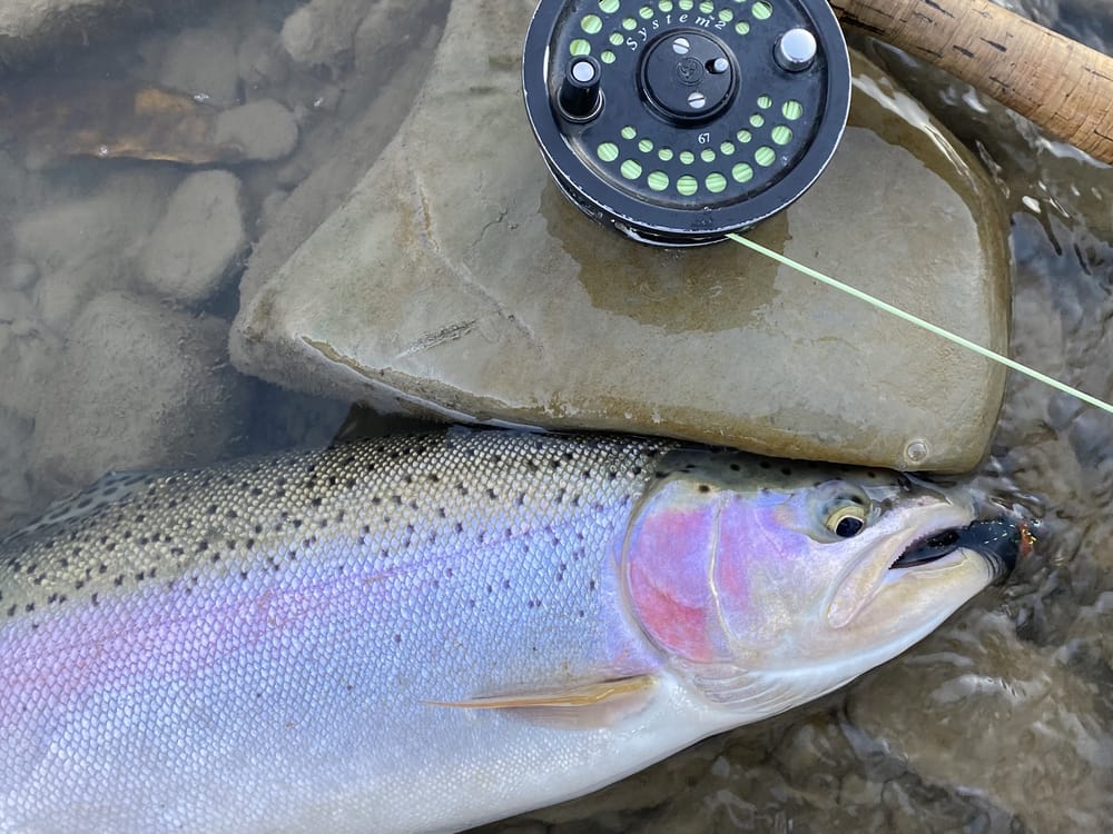 FLY RODS – tagged two-handed – TW Outdoors
