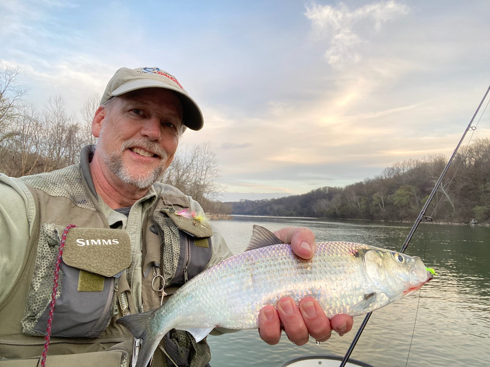 The Shad Run has Begun! – Potomac Valley Fly Fishers