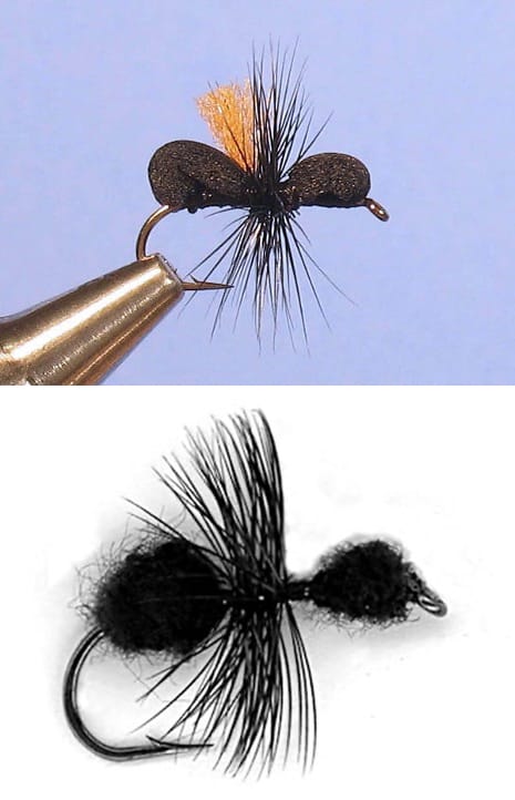Beginner's Fly Tying: Foam & Fur Ant – Potomac Valley Fly Fishers